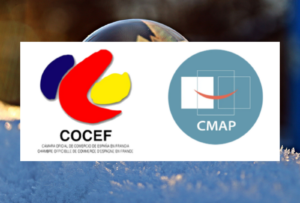 vignettes article (5)